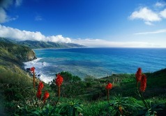 1208_big-sur-california_485x340.jpg