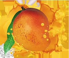 mango.jpg
