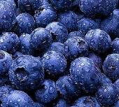 Blueberry2.jpg