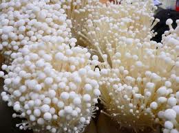 Mushroom2.jpg